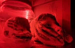 imaginea n.4 a activității Melaka: Cool Ghost Museum E-Ticket în Malacca City, încărcată de organizator