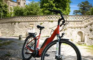 imagem n.4 de Vinha dos Alpilles em bicicleta atividade em Saint-Rémy-de-Provence, carregada pelo fornecedor