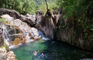 imagem n.3 de A partir do Porto: Tour de um dia em pequenos grupos ao Parque de Gerês com piquenique atividade em Região do Norte, Portugal, carregada pelo fornecedor