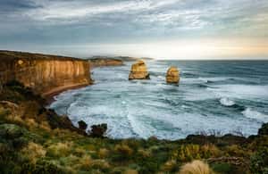 imagem n.4 de Melbourne: Excursão épica pela Great Ocean Road com pontos turísticos imperdíveis atividade em Melbourne, carregada pelo fornecedor