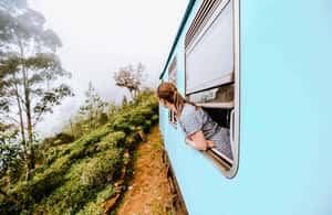 Pramogos teikėjo įkelta pramogos „Ellos dienos ekskursija: su arbatos fabriko lankymu iš Gallės“, Nuwara Eliya, nuotrauka (3)