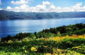 image n.4 of From Tbilisi : Dilijan, Lake Sevan, and Yerevan City Tour activity in Yerevan, uploaded by supplier