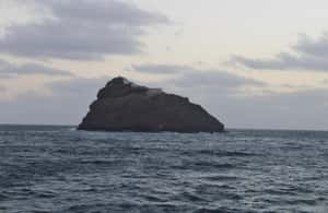 image n.4 of Santo Antao: tour full day activity in Santo Antão, uploaded by supplier