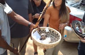 Choma, Zambiya içindeki Lusaka: Turlar ve Öğle Yemeği ile Livingstone'a Transfer etkinliğinin tedarikçi tarafından yüklenen 4 no'lu görseli