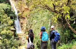 image n.3 of From Oaxaca: Apoala Magic Waterfalls Hike & Swim Adventure activity in Oaxaca de Juarez, uploaded by supplier