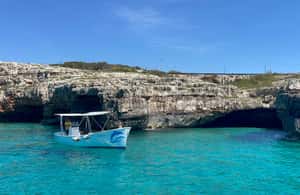 Immagine nº 3 di Torre Vado: Tour dei 2 Mari alle Grotte di S. Maria di Leuca attività a Lecce, caricata dal fornitore