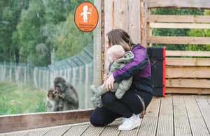 imagen n.º 3 de Kingussie: Highland Wildlife Park Ticket de entrada actividad en Tierras Altas de Escocia, subida por el proveedor