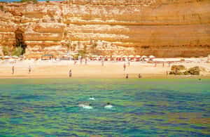 afbeelding n.4 van Albufeira: Rondvaart met strand-BBQ en open bar activiteit in Albufeira, geüpload door aanbieder