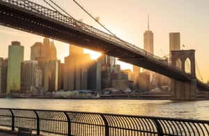 Pramogos teikėjo įkelta pramogos „Niujorkas: Bruklino tiltas ir Dumbo pėsčiųjų turas“, Niujorkas, nuotrauka (3)