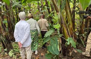 Bild Nr. 3 von Musanze: Spaziergang durch die Gemeinde mit Sprache, Kultur und Essen Aktivität in Ruhengeri, hochgeladen vom Anbieter
