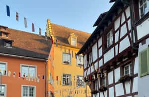 Bild Nr. 4 von Von Basel aus: Private Tour durch 4 Länder und zum Bodensee Aktivität in Lindau (Bodensee), hochgeladen vom Anbieter