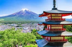 image n.3 of From Tokyo: Mount Fuji Full Day Private Tour English Guide activity in Fujikawaguchiko, uploaded by supplier