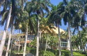 imagen n.º 4 de Wet & Dry Fort Lauderdale actividad en Fort Lauderdale, subida por el proveedor