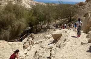 bild nr.3 av Naturreservatet Ein Gedi och Döda havet på ryska aktivitet i Tel Aviv, uppladdad av arrangören