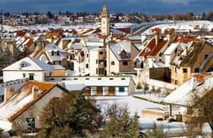 image n.3 of From Fez: Middle Atlas Ifran and Forest of Monkeys Day Trip activity in Ifran, uploaded by supplier