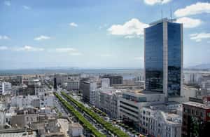 Image N°3 de Hammamet : visite de l'ancienne médina, du Bardo, de Carthage et de Sidi Bou Said activité à Tunis, publiée par le prestataire