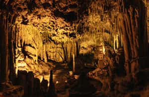 image n.4 of Porto Cristo: Caves of Hams Entry Ticket activity in Porto Cristo, uploaded by supplier