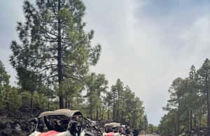 billede nr.4 af aktiviteten Tenerife: Teide Nationalpark og buggy-tur til vulkanen i Kanarieøerne, uploadet af udbyder