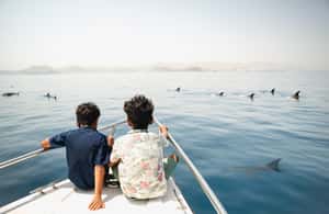 Immagine nº 3 di Muscat: tour privato in barca delle isole Daymaniyat con snorkeling attività a Oman, caricata dal fornitore