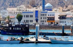 image n.4 of Muscat Private city tour 2025 (local's life) activity in Muscat, uploaded by supplier