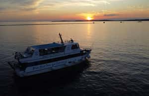 Bild Nr. 3 von Pula: Delfinbeobachtung & Sonnenuntergangskreuzfahrt mit Abendessen & Getränken Aktivität in Pula, Kroatien, hochgeladen vom Anbieter