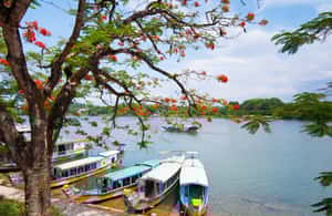 Hue: Passeio de barco-dragão, rio Perfume, pagode e túmulo real