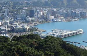 image n.3 of Wellington: Original LOTR Half-Day Experience with Weta activity in Wellington, uploaded by supplier