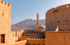 image n.4 of Private Tours - Muscat - Nizwa - Wadi Shab - Airport pick up activity in Muscat, uploaded by supplier