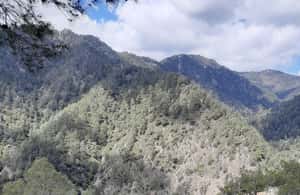 image n.4 of Unforgettable day on safari from Paphos to the Troodos mountains activity in Limassol District, uploaded by supplier