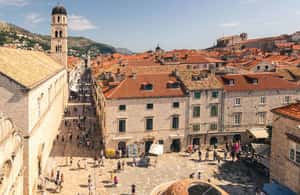 From Split & Trogir: Dubrovnik Guided Day Tour