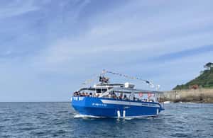 image n.3 of San Sebastian: Boat Tour with Stop at Santa Clara activity in San Sebastián, uploaded by supplier