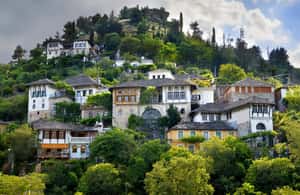 image n.3 of From Tirana / Durresi : Gjirokaster & Blue Eye Day Tour activity in Gjirokaster, uploaded by supplier