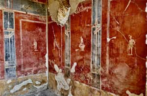 image n.4 of Pompeii - Vesuvius & Wine from Amalfi Coast all inclusive activity in Pompei, Campania, uploaded by supplier