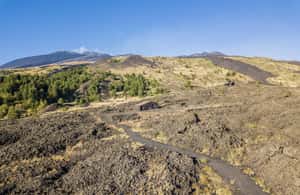 image n.4 of Catania: Etna Tour on the North Side with Pickup & Drop-off activity in Sicily, uploaded by supplier