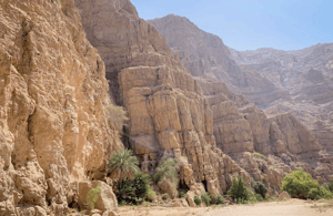 Immagine nº 3 di da muscat tour del wadi shab e della dolina di bimmah attività a Regione al-Sharqiyya, caricata dal fornitore
