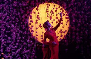 imagen n.º 3 de Bangkok: Espectáculo de Cabaret Calypso con Cena Tailandesa actividad en Bangkok, subida por el proveedor
