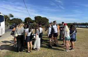 imagem n.3 de Melbourne: Excursão épica pela Great Ocean Road com pontos turísticos imperdíveis atividade em Melbourne, carregada pelo fornecedor