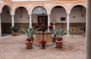 image n.3 of Seville: Museum of Fine Arts Guided Tour activity in Seville, uploaded by supplier