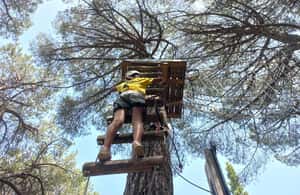 image n.3 of Monti Rossi Adventure Park Entry Ticket Full activity in Catania, uploaded by supplier