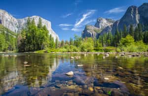 imagem n.3 de De Los Angeles: Excursão de 3 dias a SF, Yosemite, Santa Barbara e Carmel atividade em São Francisco, carregada pelo fornecedor