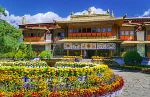 image n.4 of Dharamshala Full Day Tour activity in Himachal Pradesh, uploaded by supplier