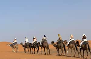 image n.4 of From Marrakech: Tour 2-Day To Desert Zagora activity in Souss-Massa, uploaded by supplier