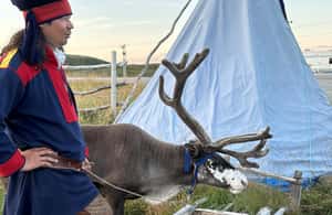 Bild Nr. 4 von Honningsvag: Nordkap und Sami Familienbesuch Reise Aktivität in Barentssee, hochgeladen vom Anbieter