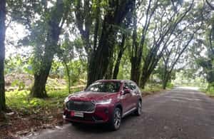 kuva n.4/Yksityinen kuljetus San Josén lentokentältä Cartagon keskustaan aktiviteetista San Josè, Costa Rica, jonka toimittaja on ladannut