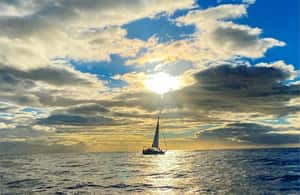 Immagine nº 3 di Funchal: tour in barca a vela al tramonto attività a Câmara de Lobos, caricata dal fornitore