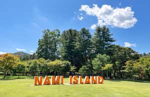 image n.3 of Seoul to/from Nami Island or Alpaca World: Shuttle Service activity in Seoul, uploaded by supplier