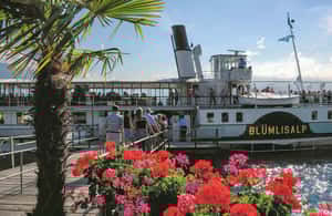 pilt nr 4/Milanost: päevareis Interlakeni ja Šveitsi Alpidesse tegevusest Berni kanton, üles laadinud tarnija