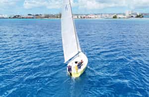 imagem n.4 de Corra contra o vento: aventura de velejar em J/24 em Barbados atividade em Bridgetown, carregada pelo fornecedor