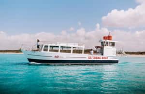 image n.4 of Colònia de Sant Jordi: Es Trenc Boat Tour with Snorkeling activity in Ses Covetes, uploaded by supplier