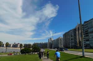Immagine nº 3 di Montevideo: Tour in battello per i passeggeri delle crociere attività a Montevideo, caricata dal fornitore